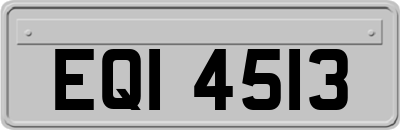 EQI4513