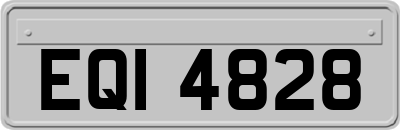 EQI4828