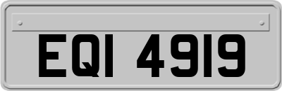 EQI4919
