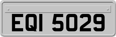 EQI5029