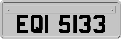 EQI5133