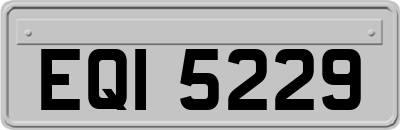 EQI5229