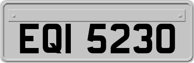 EQI5230