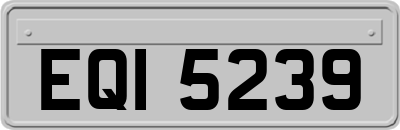 EQI5239