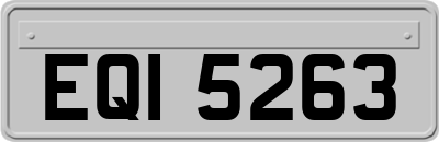 EQI5263