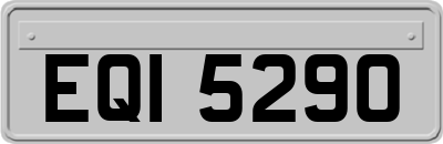 EQI5290
