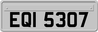 EQI5307