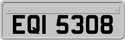 EQI5308