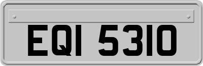 EQI5310
