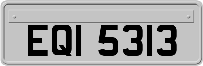 EQI5313