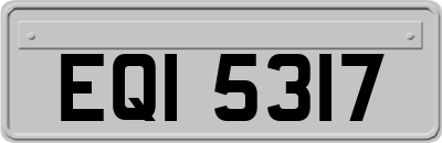 EQI5317