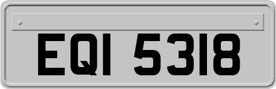 EQI5318