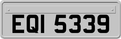EQI5339