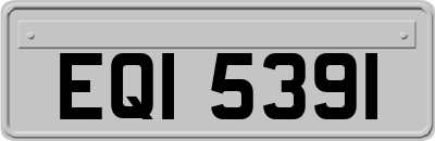 EQI5391