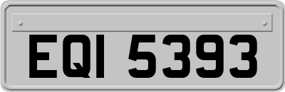EQI5393