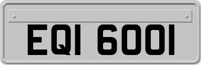 EQI6001