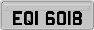 EQI6018