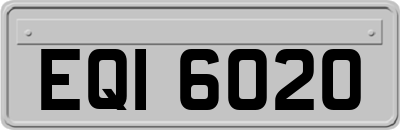 EQI6020