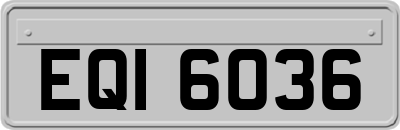 EQI6036
