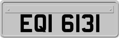 EQI6131