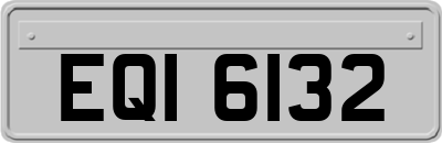 EQI6132