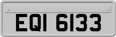 EQI6133