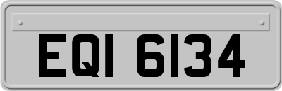 EQI6134