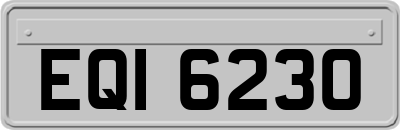 EQI6230