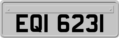 EQI6231