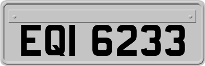 EQI6233