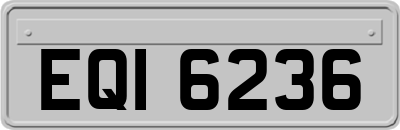 EQI6236