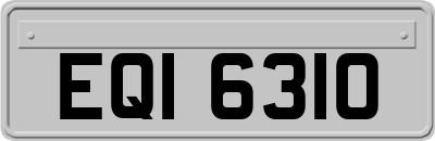 EQI6310