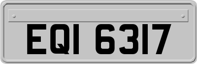 EQI6317