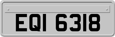 EQI6318