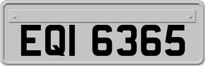 EQI6365