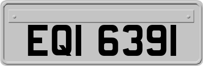 EQI6391