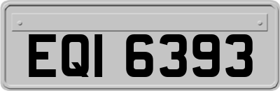EQI6393