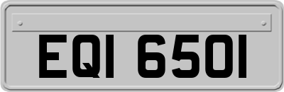 EQI6501