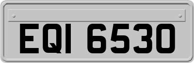 EQI6530