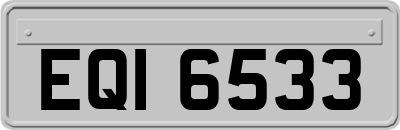 EQI6533