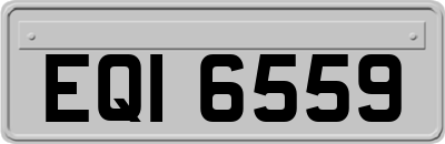 EQI6559