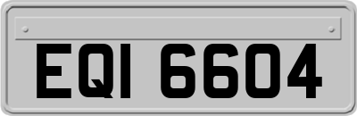 EQI6604