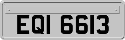 EQI6613