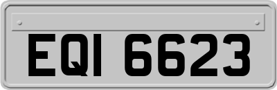EQI6623