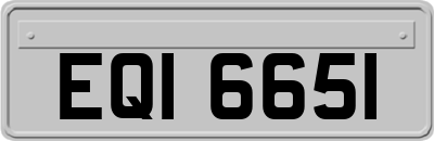 EQI6651