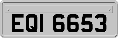 EQI6653