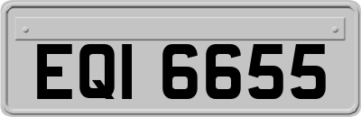 EQI6655