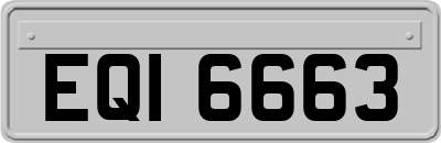 EQI6663