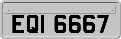EQI6667