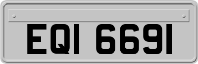 EQI6691